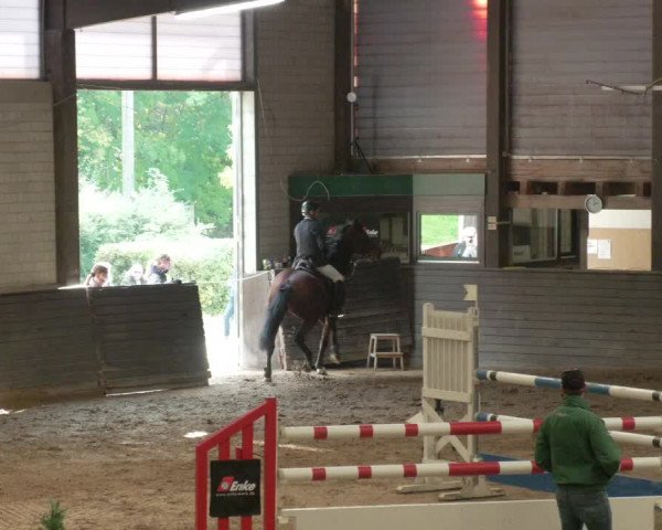 Reitturnier Heilbronn 2020