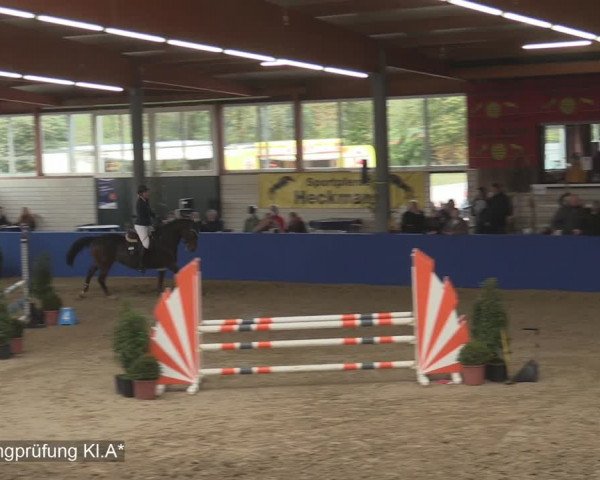 Reitturnier Isterberg 2020