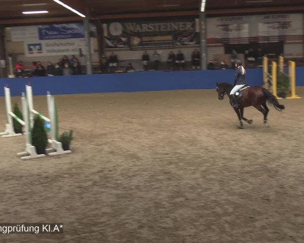 Reitturnier Isterberg 2020
