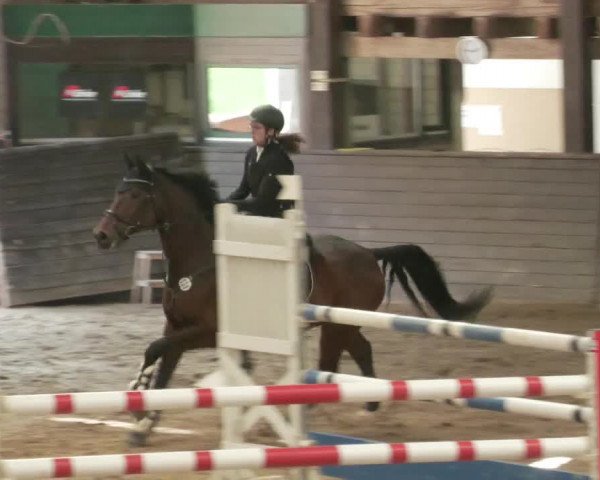 Reitturnier Heilbronn 2020