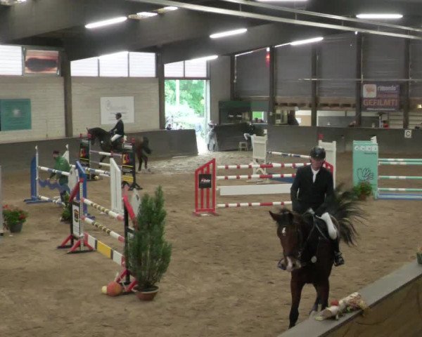 Reitturnier Heilbronn 2020