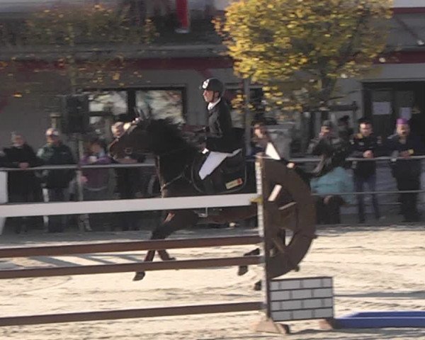 Reitturnier Achern 2020