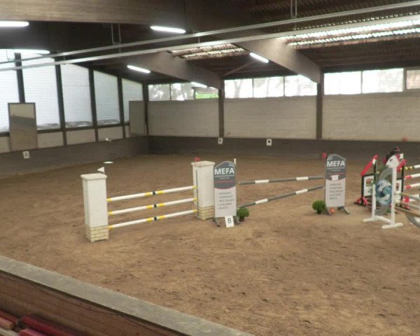 Reitturnier Heilbronn 2020