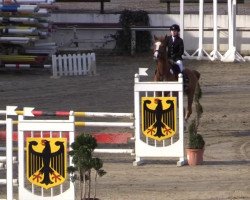 jumper Clavigo 20 (Westphalian, 2007, from Contello)
