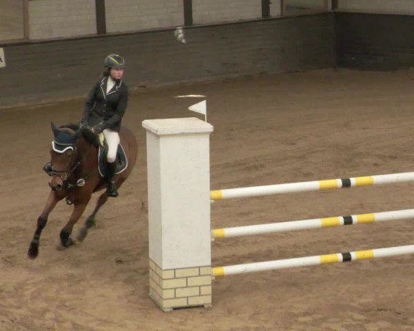 Reitturnier Heilbronn 2020