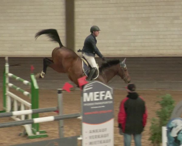 Reitturnier Heilbronn 2020