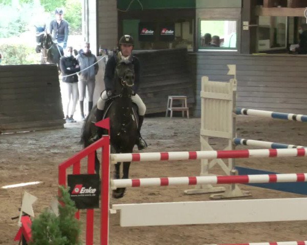 Reitturnier Heilbronn 2020