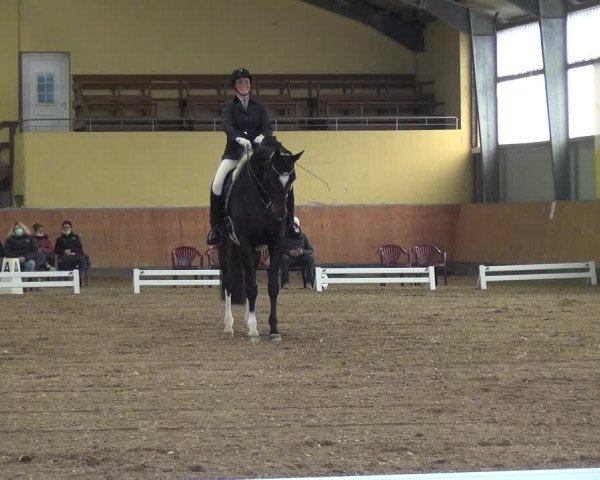 Reitturnier Frechen-Grefrath - Sonnenhof 2020