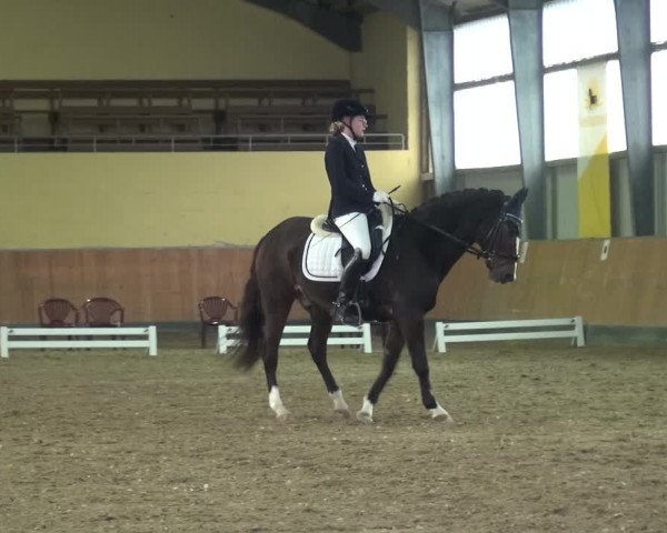 Reitturnier Frechen-Grefrath - Sonnenhof 2020