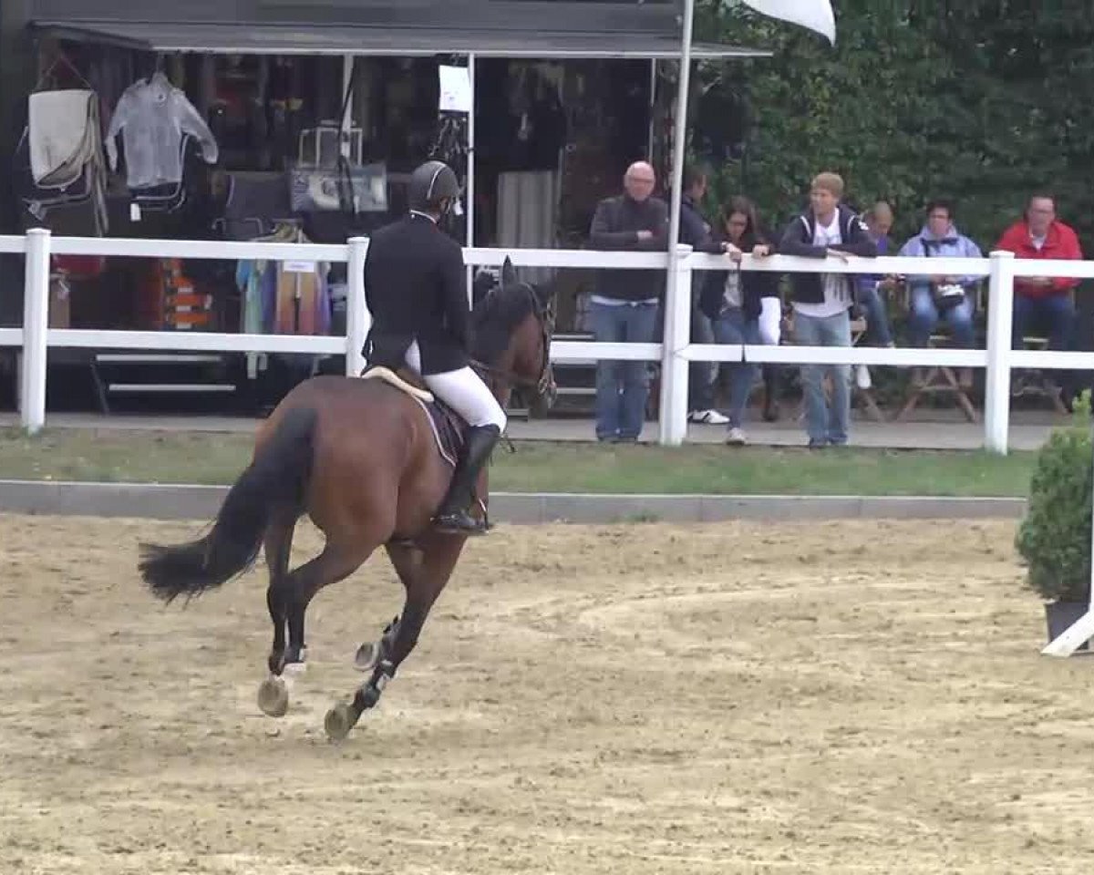 jumper Cas Blh (KWPN (Royal Dutch Sporthorse), 2007, from Vittorio)