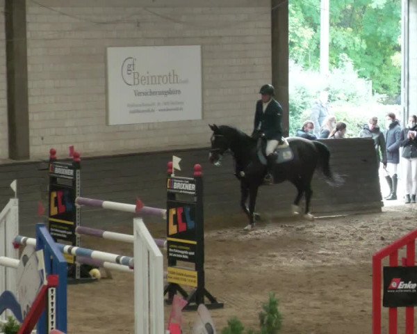 Reitturnier Heilbronn 2020