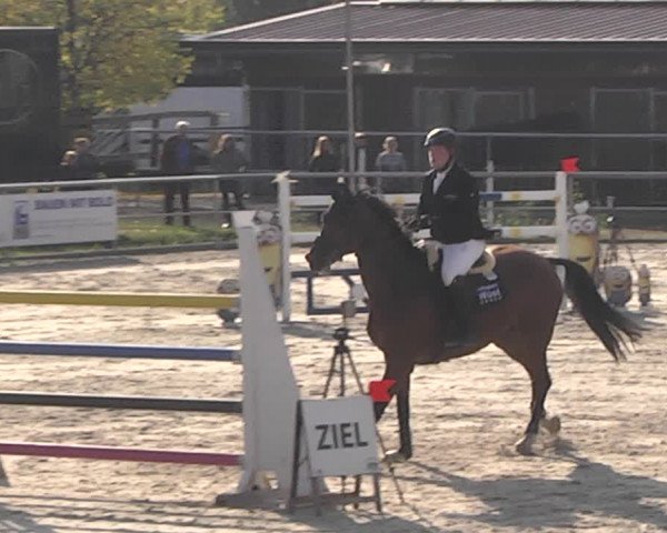 Reitturnier Achern 2020