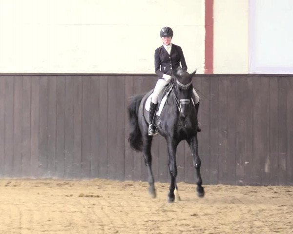 Reitturnier St. Peter Ording 2020