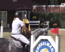 jumper Can Fly (Holsteiner, 2008, from Colman)