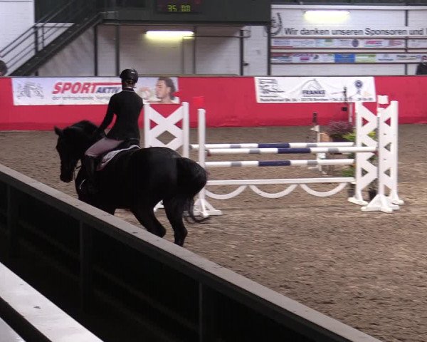 Reitturnier Salzkotten 2020