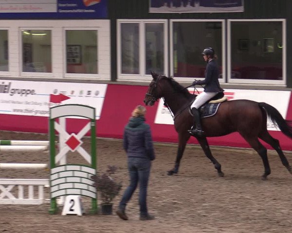 Reitturnier Salzkotten 2020