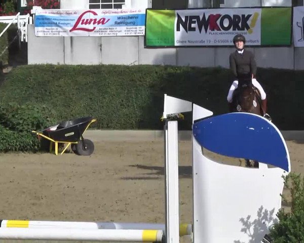 broodmare Finetta 38 (Hanoverian, 2009, from Forsyth FRH)
