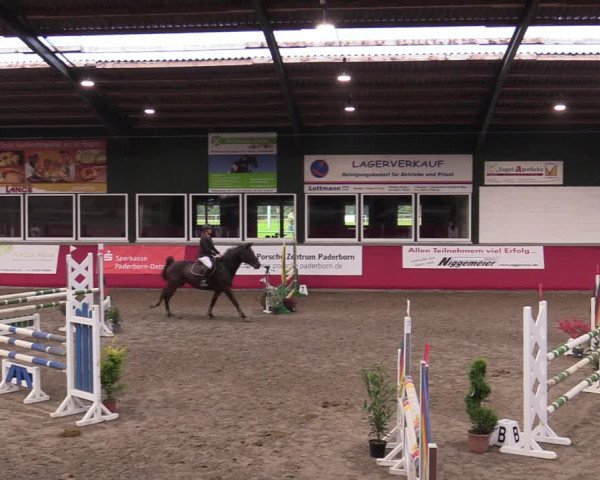 Reitturnier Salzkotten 2020
