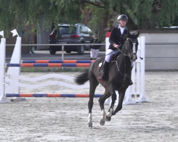 Reitturnier Achern 2020