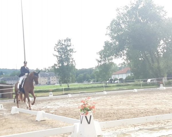 Video of Fürst Ovation
