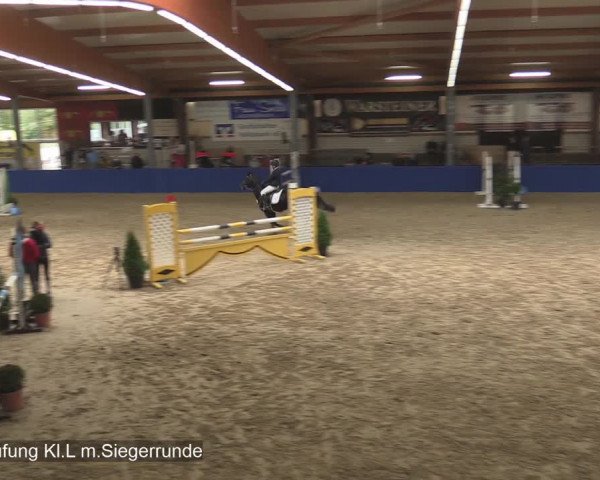 Reitturnier Isterberg 2020