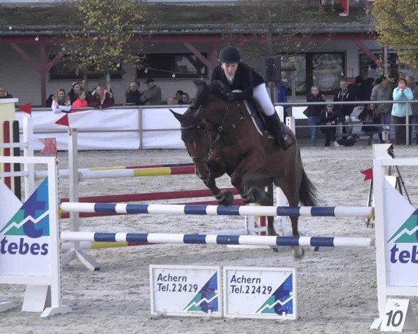 Reitturnier Achern 2020