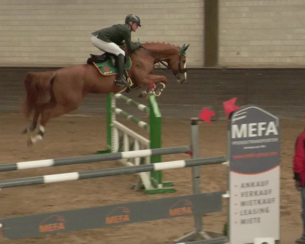 Reitturnier Heilbronn 2020