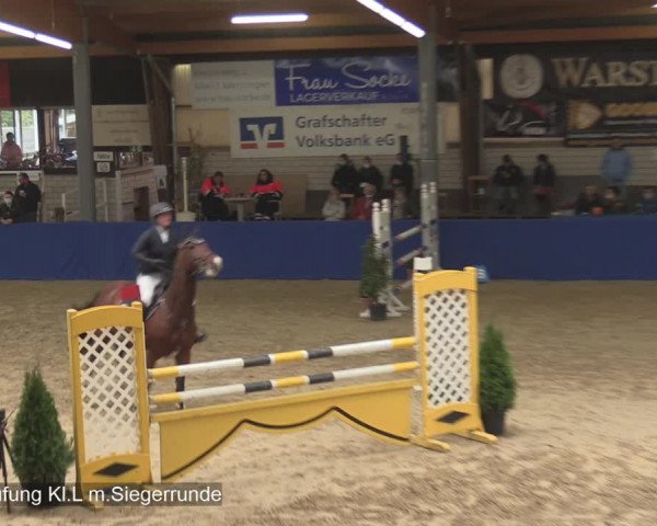 Reitturnier Isterberg 2020