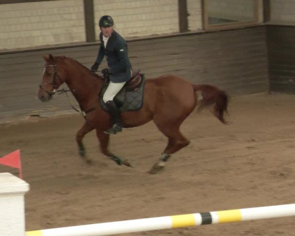 Reitturnier Heilbronn 2020