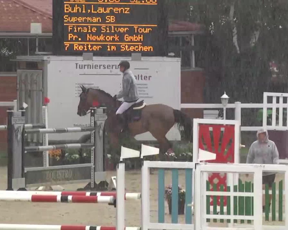 jumper Superman Sb (Hanoverian, 2004, from San Brasil)