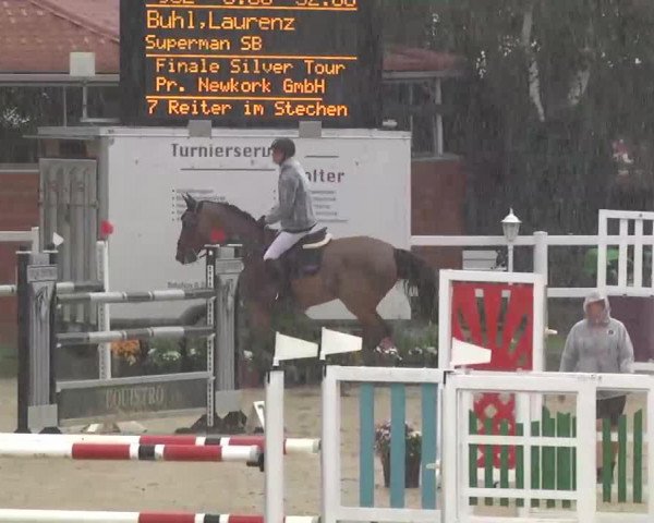 jumper Superman Sb (Hanoverian, 2004, from San Brasil)