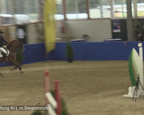 Reitturnier Isterberg 2020