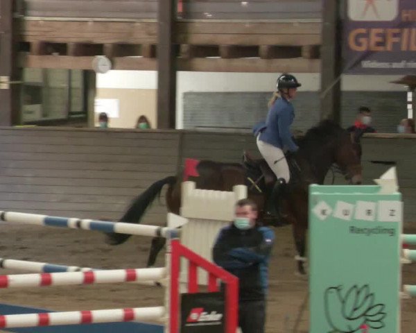 Reitturnier Heilbronn 2020
