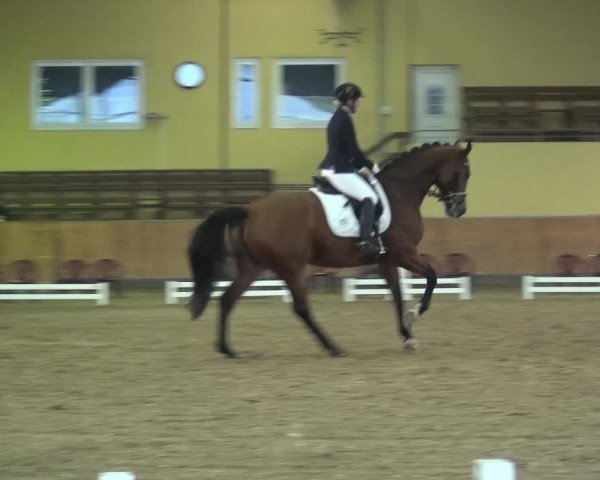 Reitturnier Frechen-Grefrath - Sonnenhof 2020