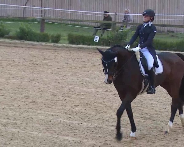 Reitturnier Brünst/Mfr. 2020