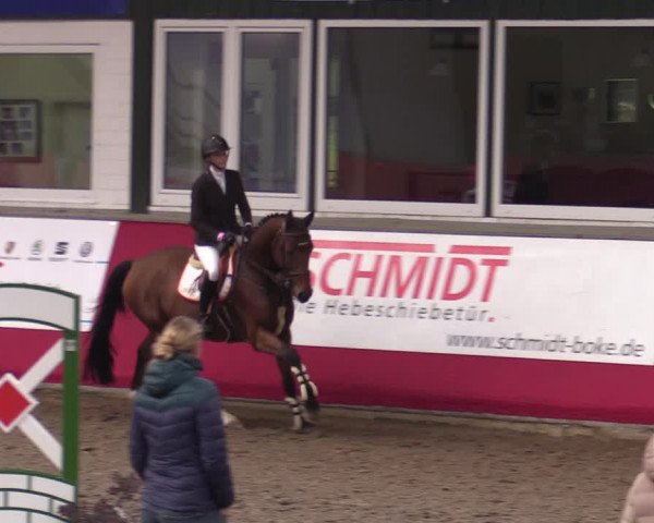 Reitturnier Salzkotten 2020