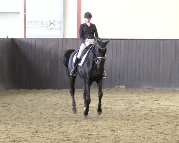 Reitturnier St. Peter Ording 2020
