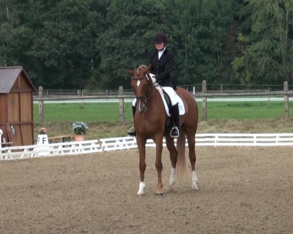 broodmare Londonflower (Hanoverian, 2009, from Londontime)