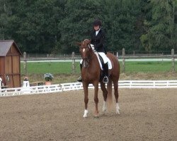 broodmare Londonflower (Hanoverian, 2009, from Londontime)