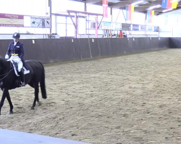 Reitturnier St. Peter Ording 2020