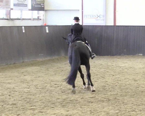 Reitturnier St. Peter Ording 2020
