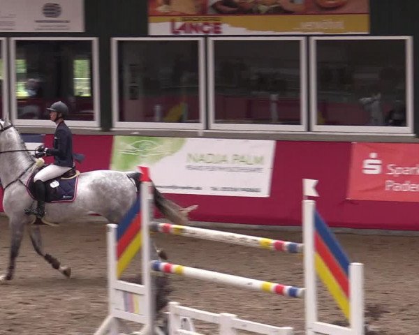 Reitturnier Salzkotten 2020