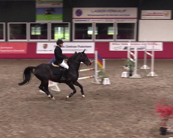 Reitturnier Salzkotten 2020
