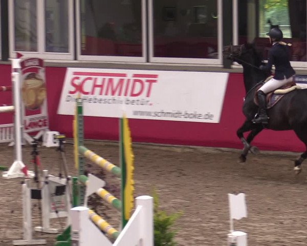 Reitturnier Salzkotten 2020