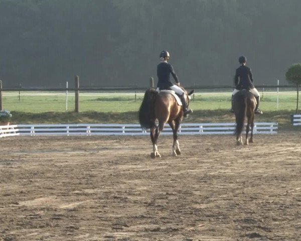 broodmare Fideria 2 (Hanoverian, 2010, from Fidertanz)