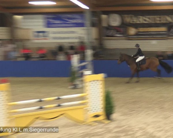 Reitturnier Isterberg 2020