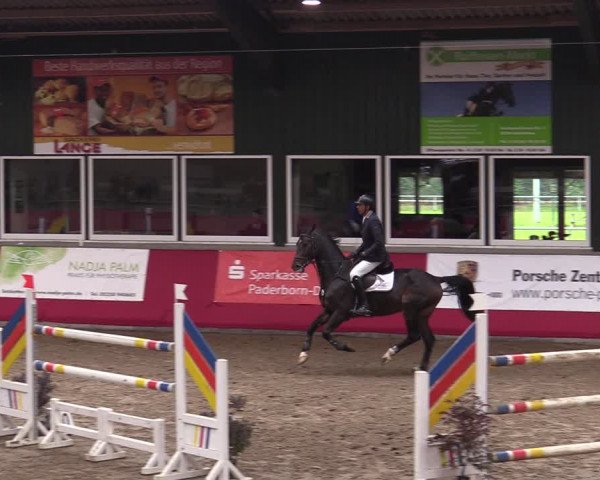 Reitturnier Salzkotten 2020