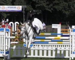 Springpferd La Cassin (Dänisches Warmblut, 1997, von Cassini I)
