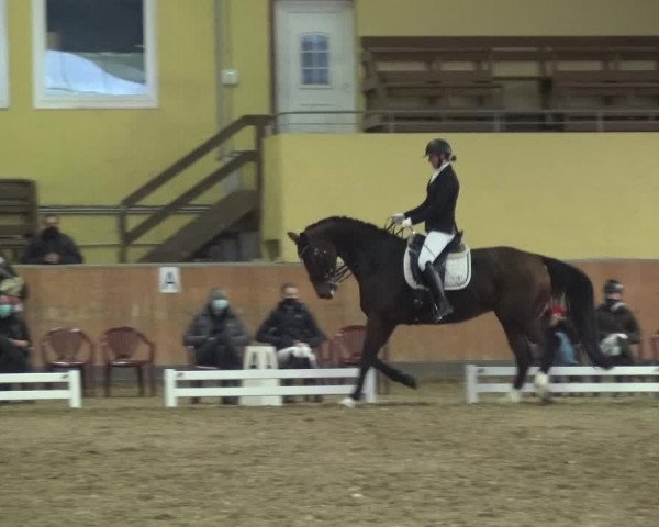 Reitturnier Frechen-Grefrath - Sonnenhof 2020