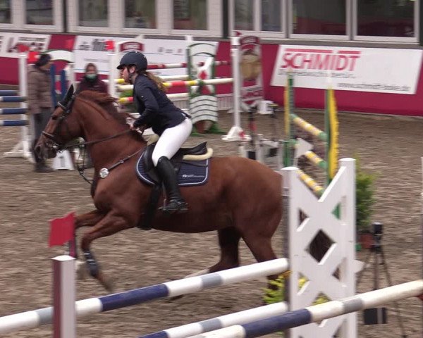 Reitturnier Salzkotten 2020